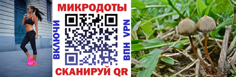 даркнет формула  Бузулук  Псилоцибиновые грибы GOLDEN TEACHER 
