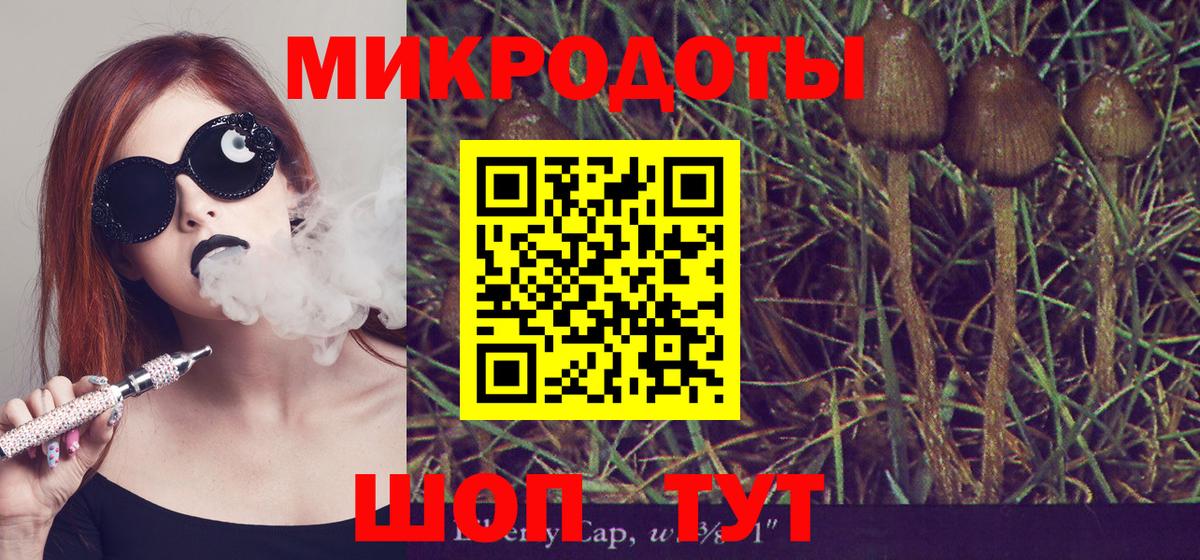 Бузулук  Галлюциногенные грибы MAGIC MUSHROOMS  Псилоцибиновые грибы Psilocybe  Вход с VPN 
